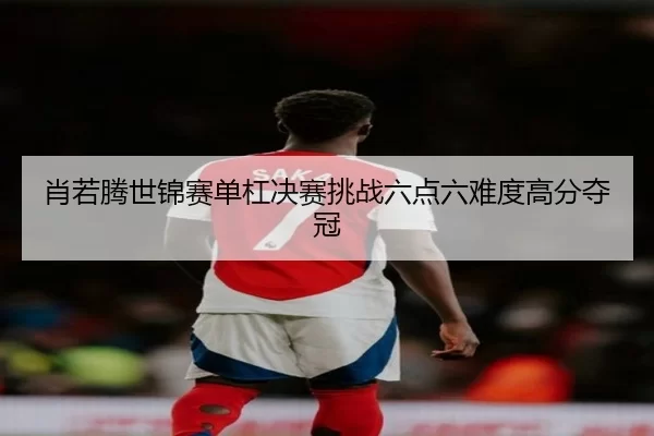 肖若腾世锦赛单杠决赛挑战六点六难度高分夺冠
